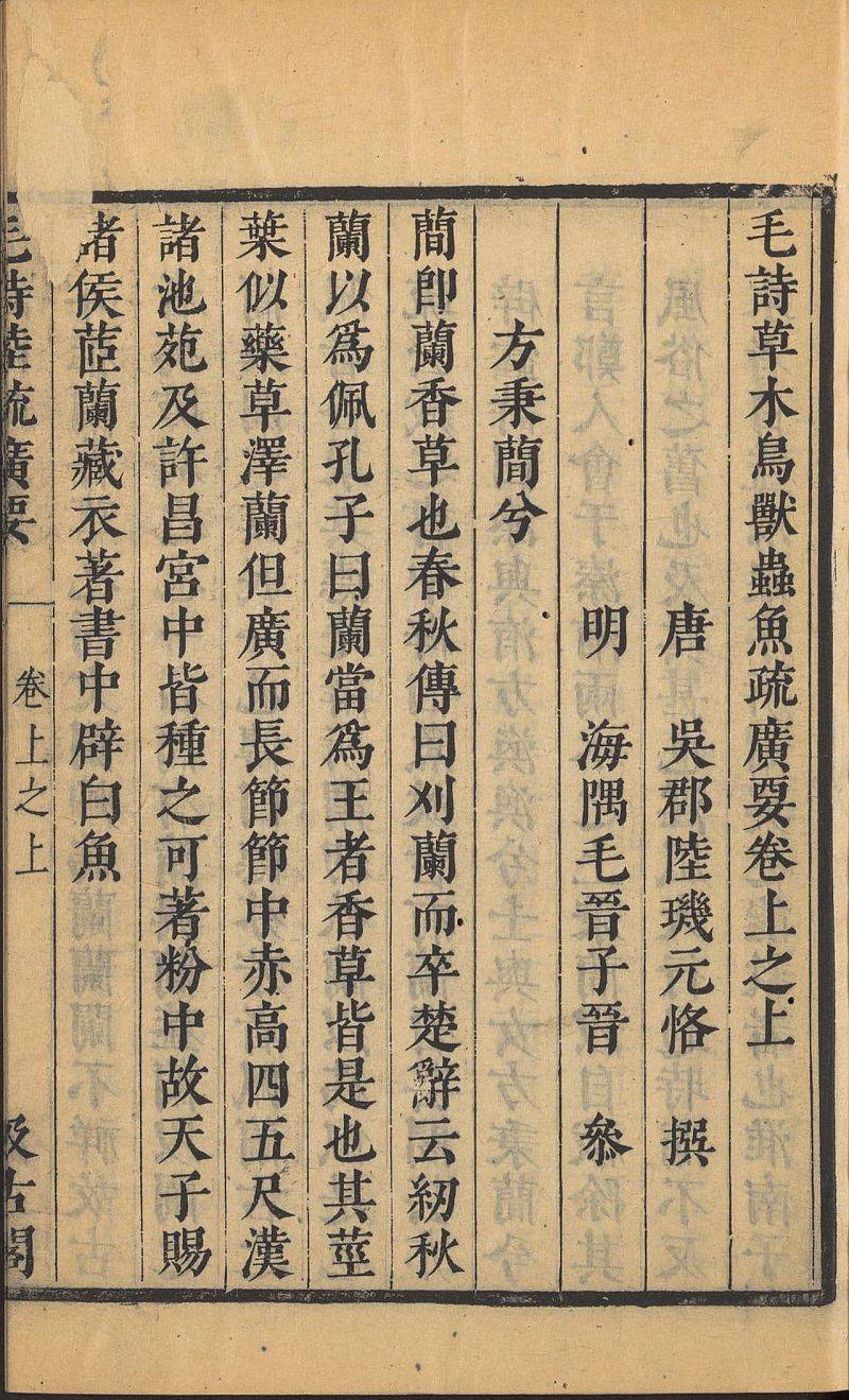 mao-shi-cao-mu-niao-shou-chong-yu-shu-guang-yao10